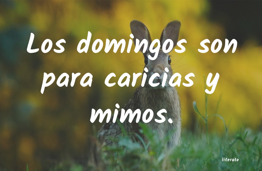frases