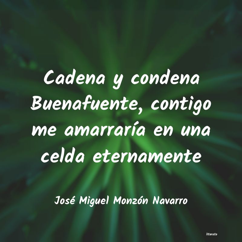 Frases de José Miguel Monzón Navarro