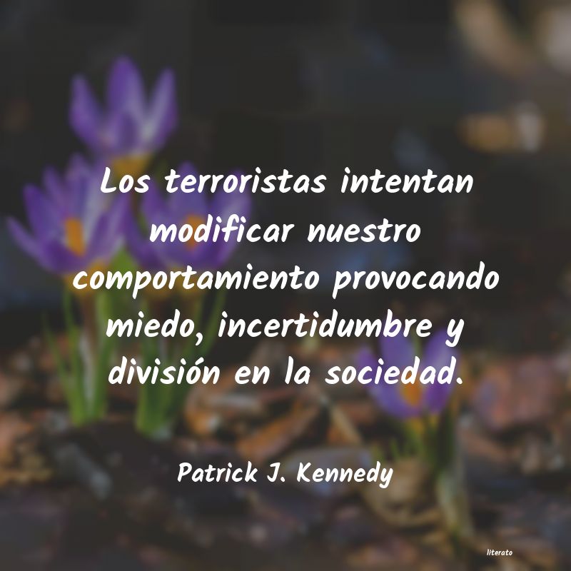 Frases de Patrick J. Kennedy