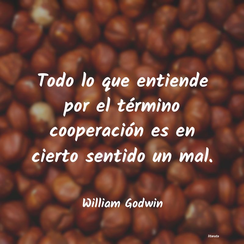 Frases de William Godwin