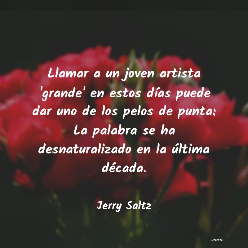 Frases de Jerry Saltz