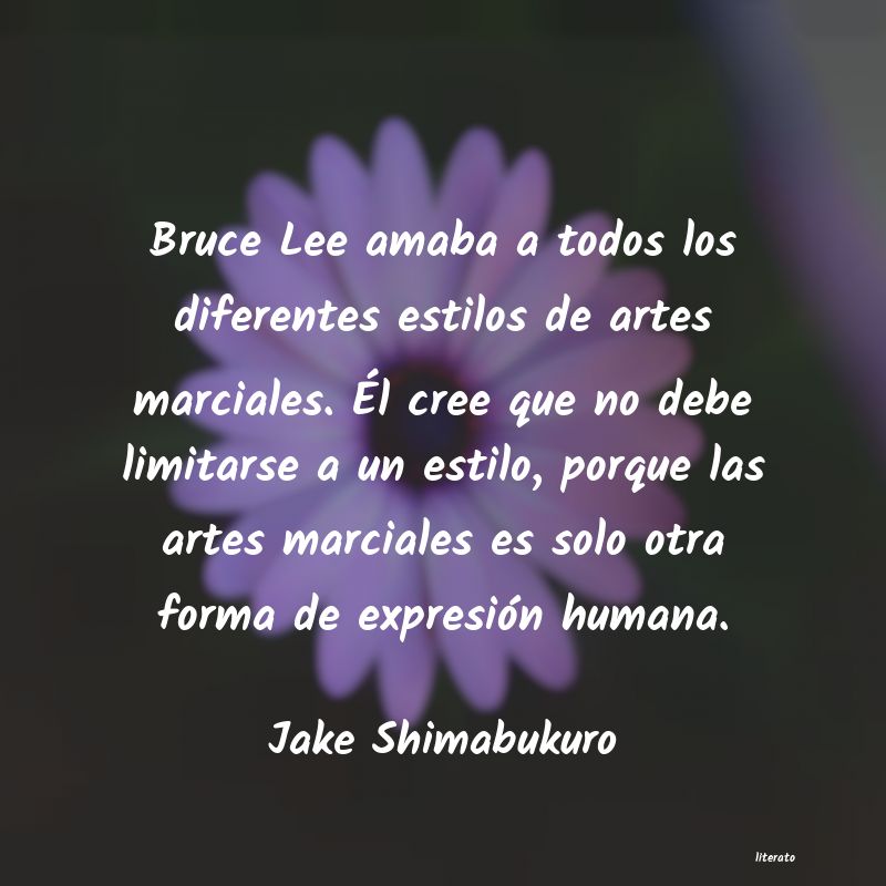 frases de Jake Shimabukuro
