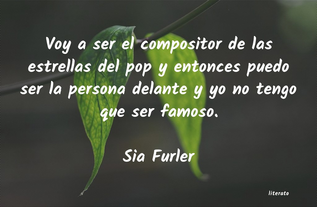Frases de Sia Furler