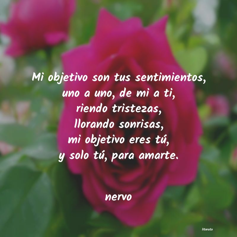 Frases de nervo