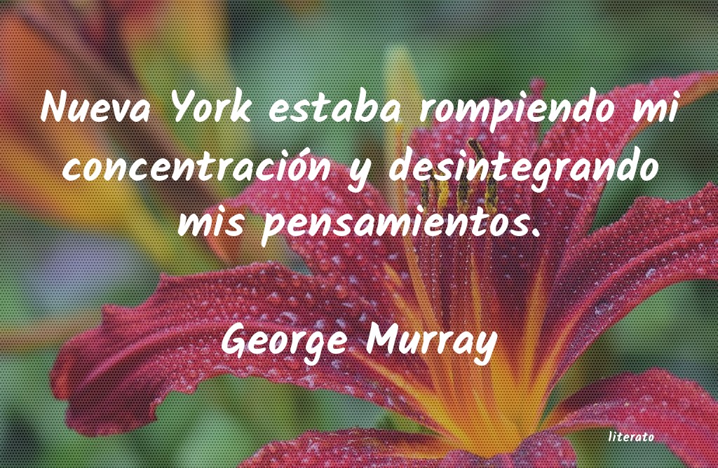 Frases de George Murray