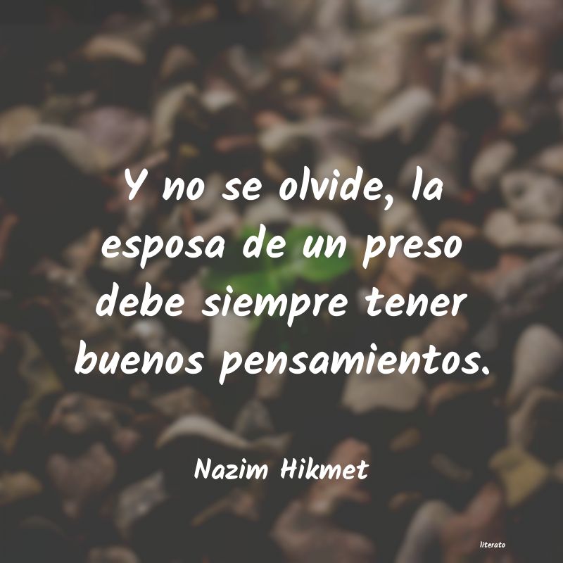 frases de Nazim Hikmet