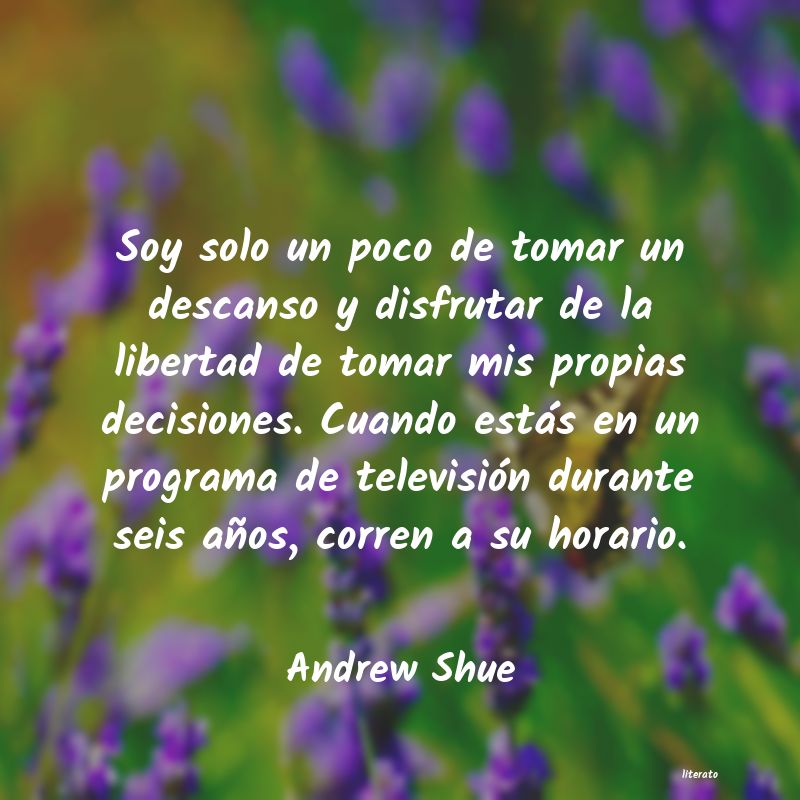 Frases de Andrew Shue