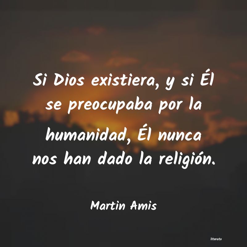 frases de Martin Amis