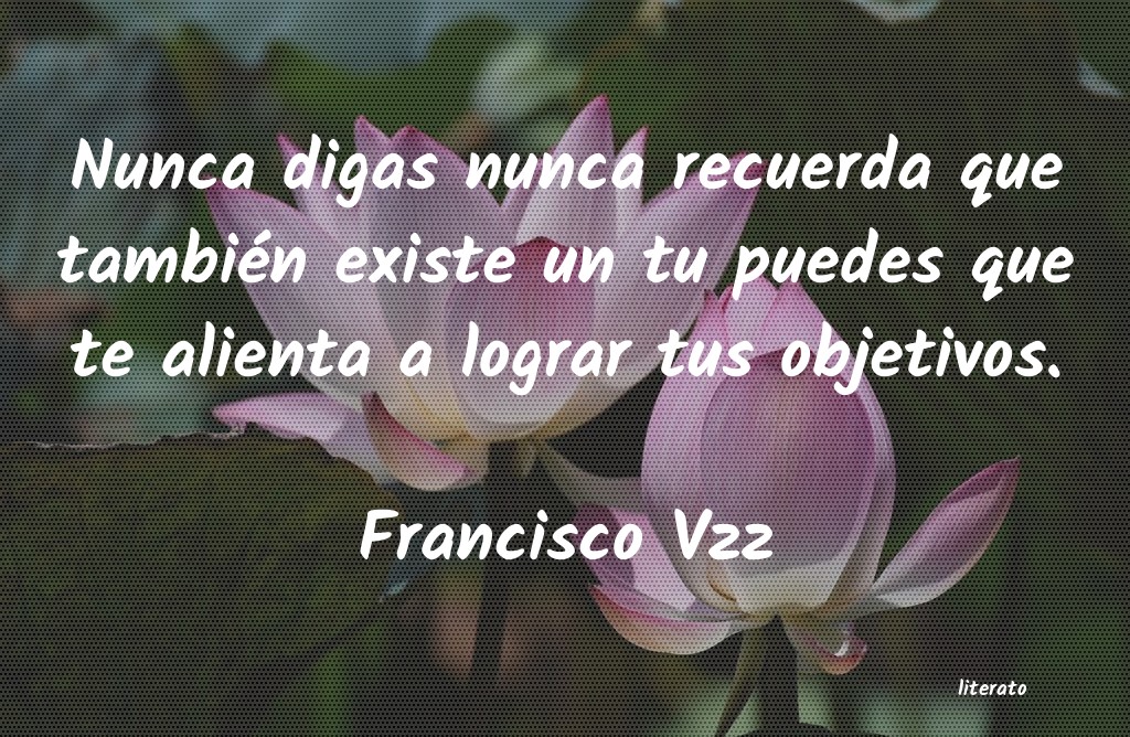 frases de Francisco Vzz