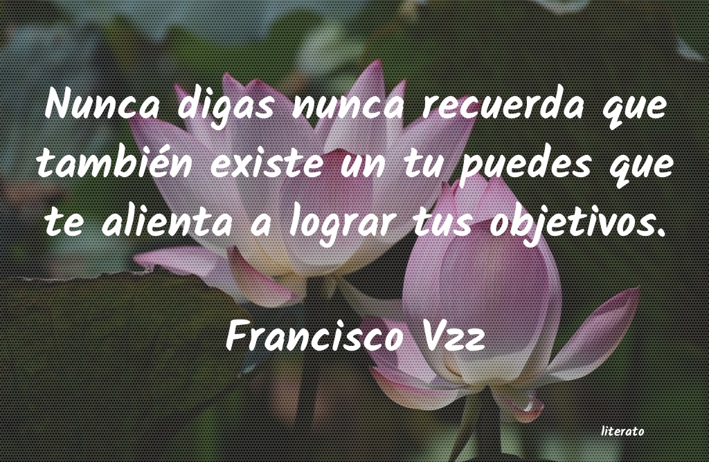 Frases de Francisco Vzz