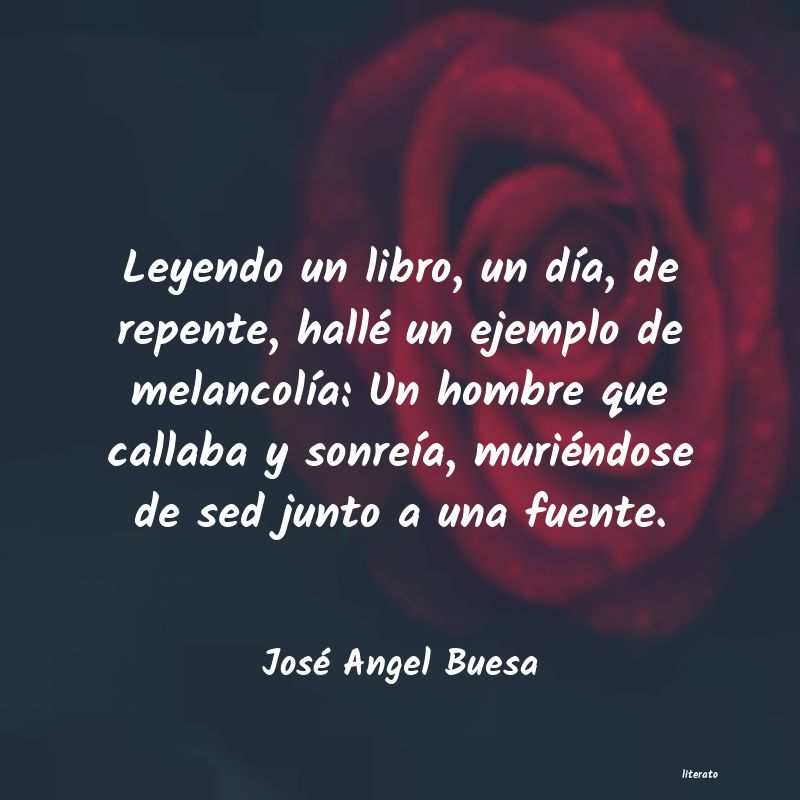 Frases de José Angel Buesa