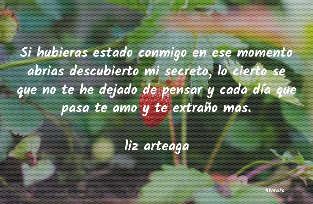 Frases de liz arteaga