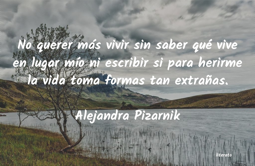 Frases de Alejandra Pizarnik