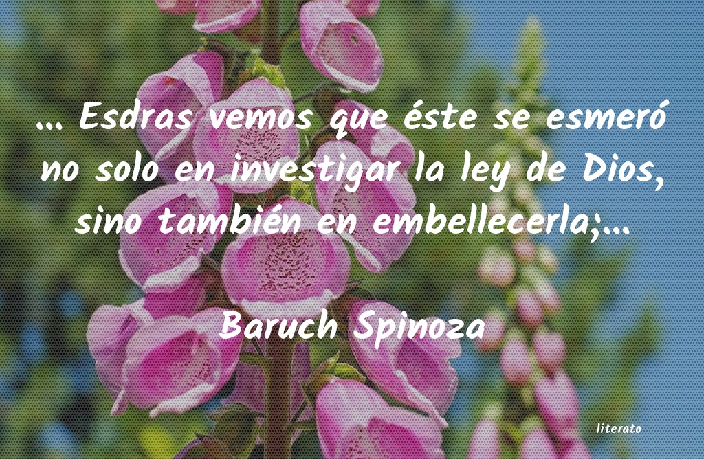 Frases de Baruch Spinoza