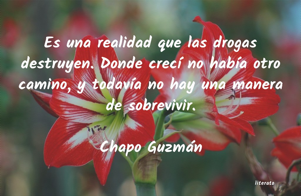 frases de Chapo Guzmán