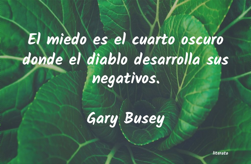 Frases de Gary Busey