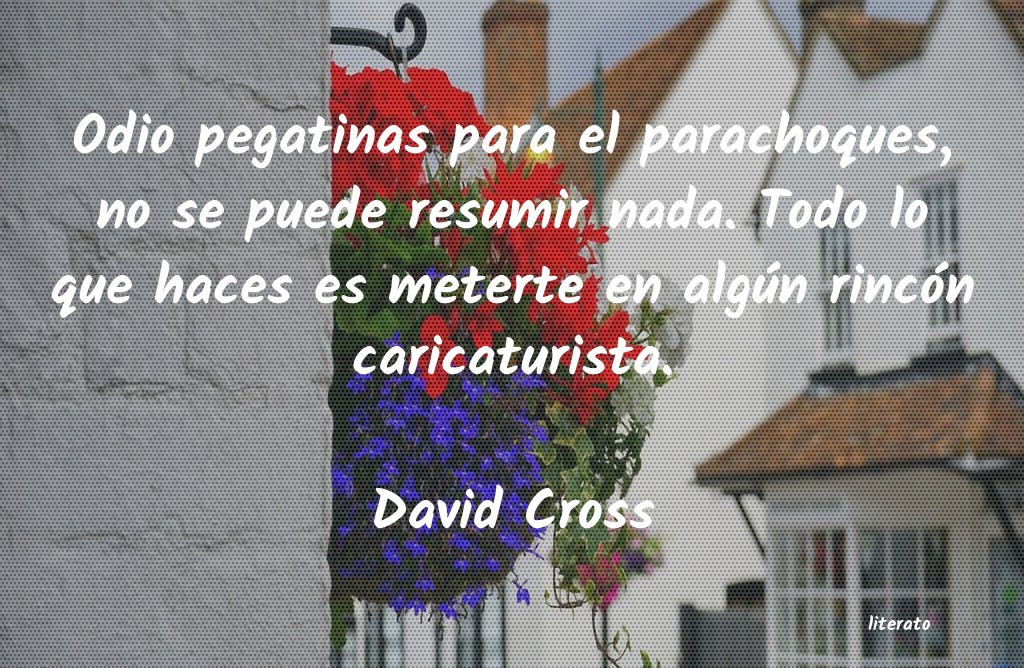 Frases de David Cross
