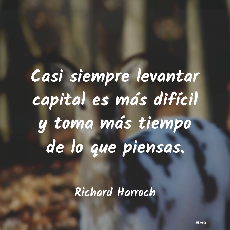 Frases de Richard Harroch
