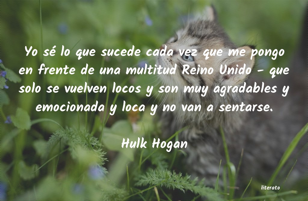 frases de Hulk Hogan