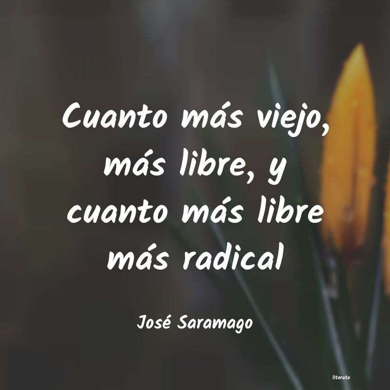 Frases de José Saramago