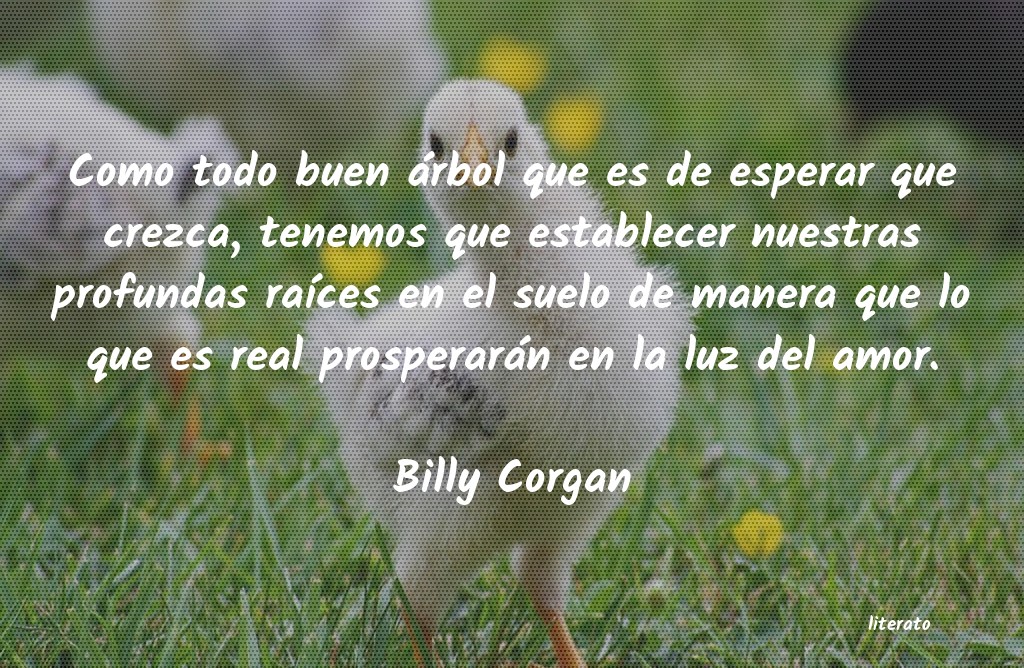 Frases de Billy Corgan