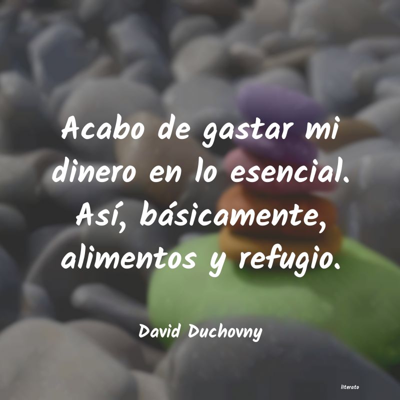 frases de David Duchovny