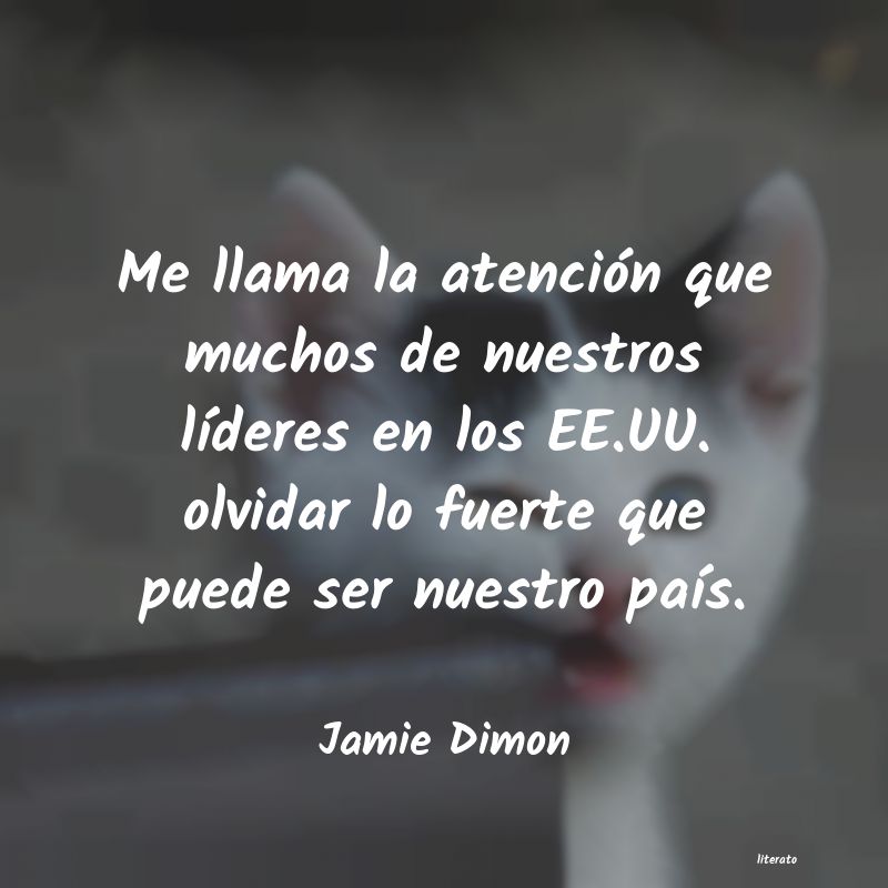 Frases de Jamie Dimon