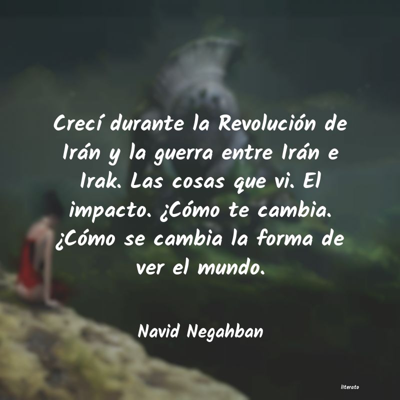 Frases de Navid Negahban