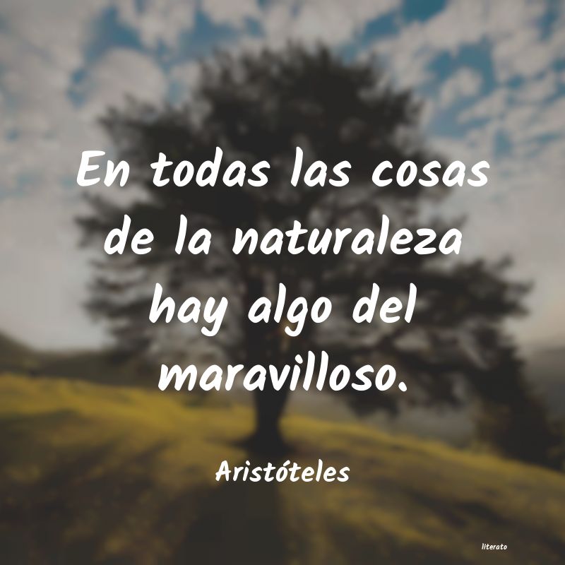 frases de Aristóteles