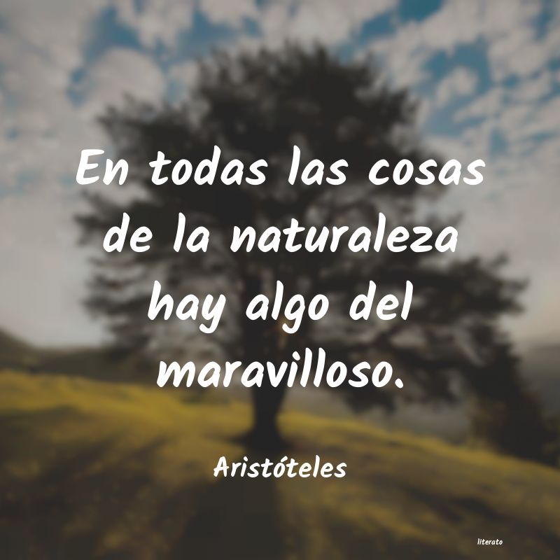 Frases de Aristóteles