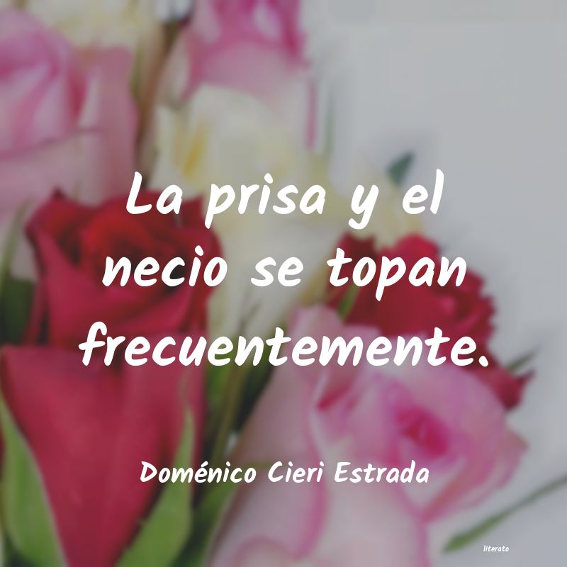frases de Doménico Cieri Estrada