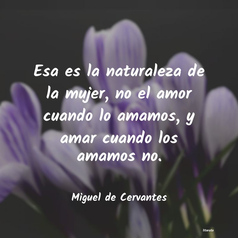 Frases de Miguel de Cervantes