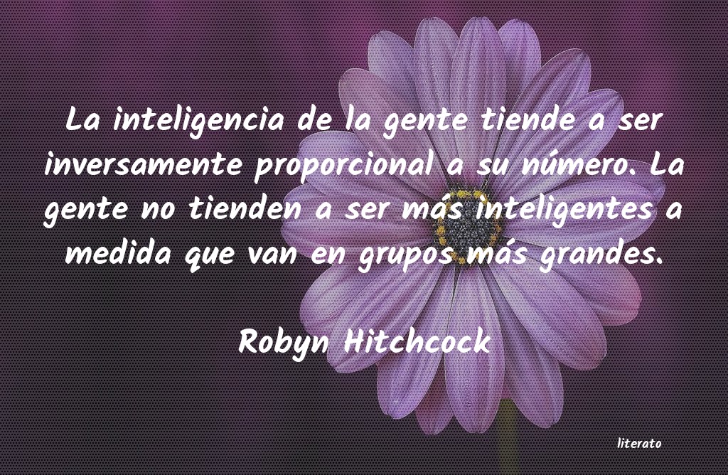 Frases de Robyn Hitchcock