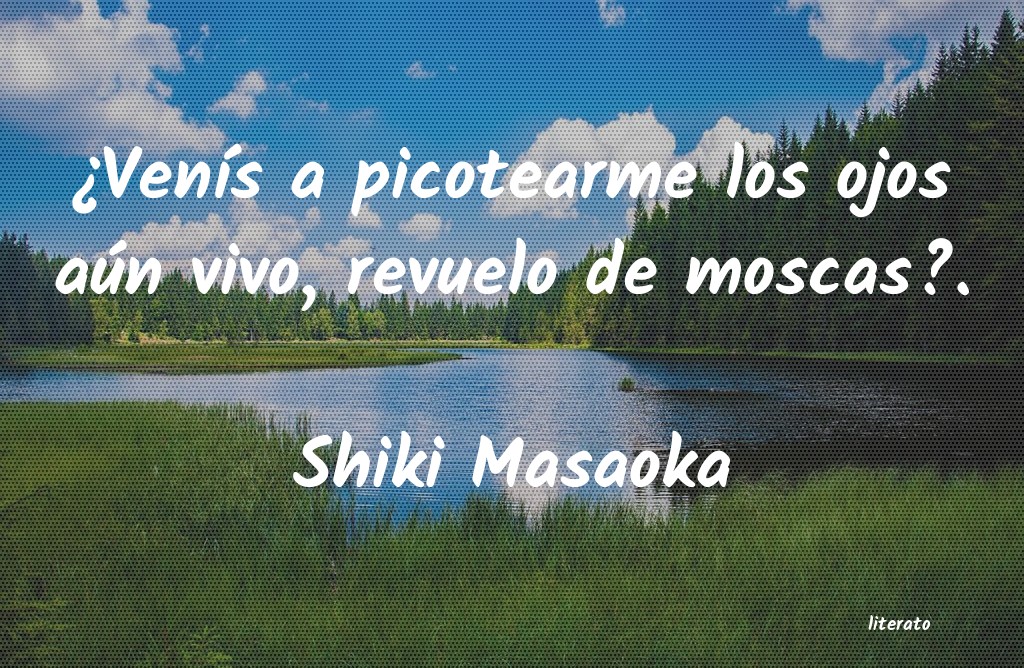 Frases de Shiki Masaoka