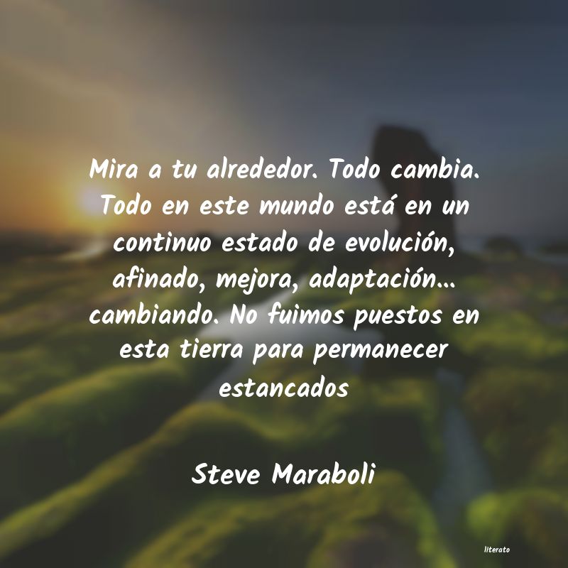 Frases de Steve Maraboli