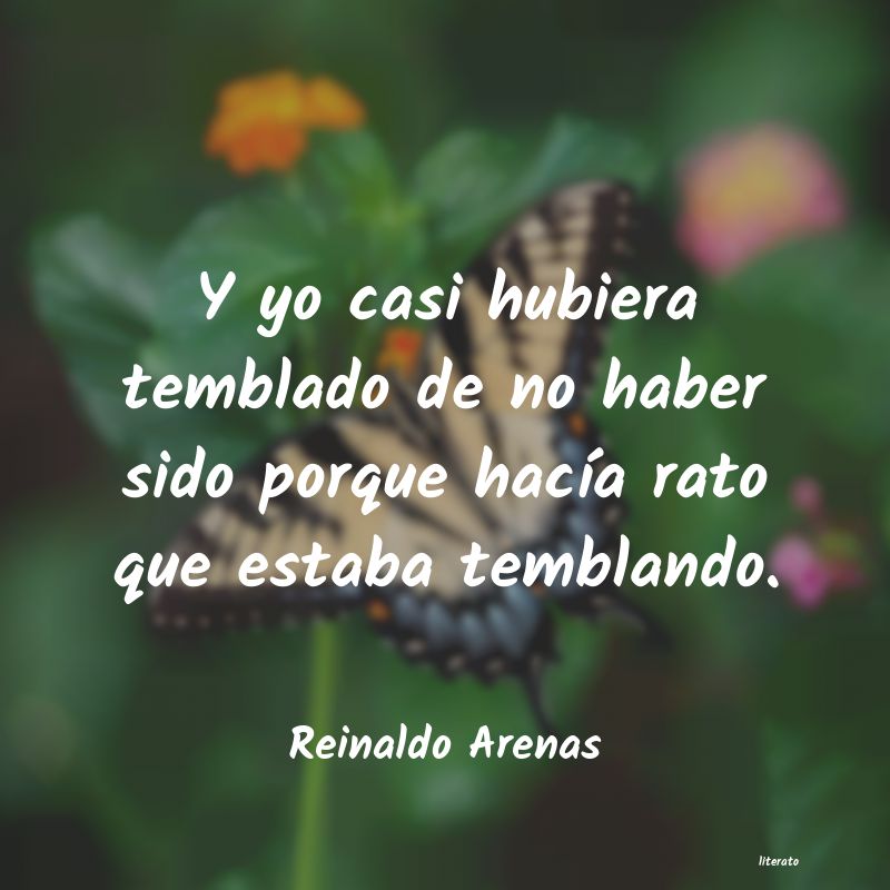 Frases de Reinaldo Arenas