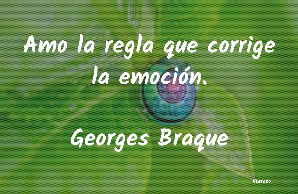 Frases de Georges Braque