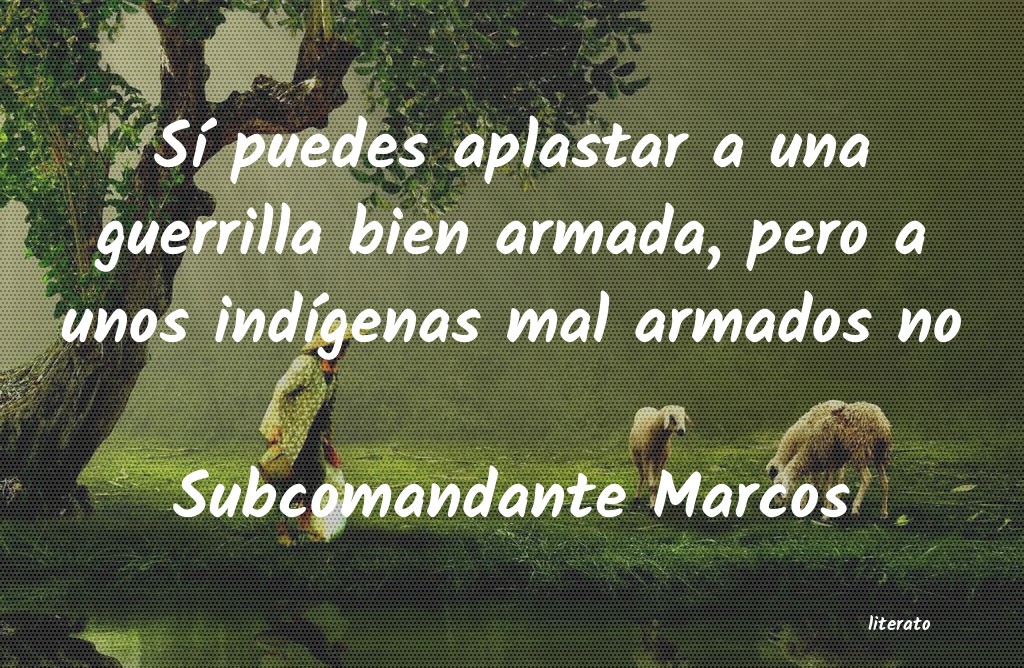 Frases de Subcomandante Marcos