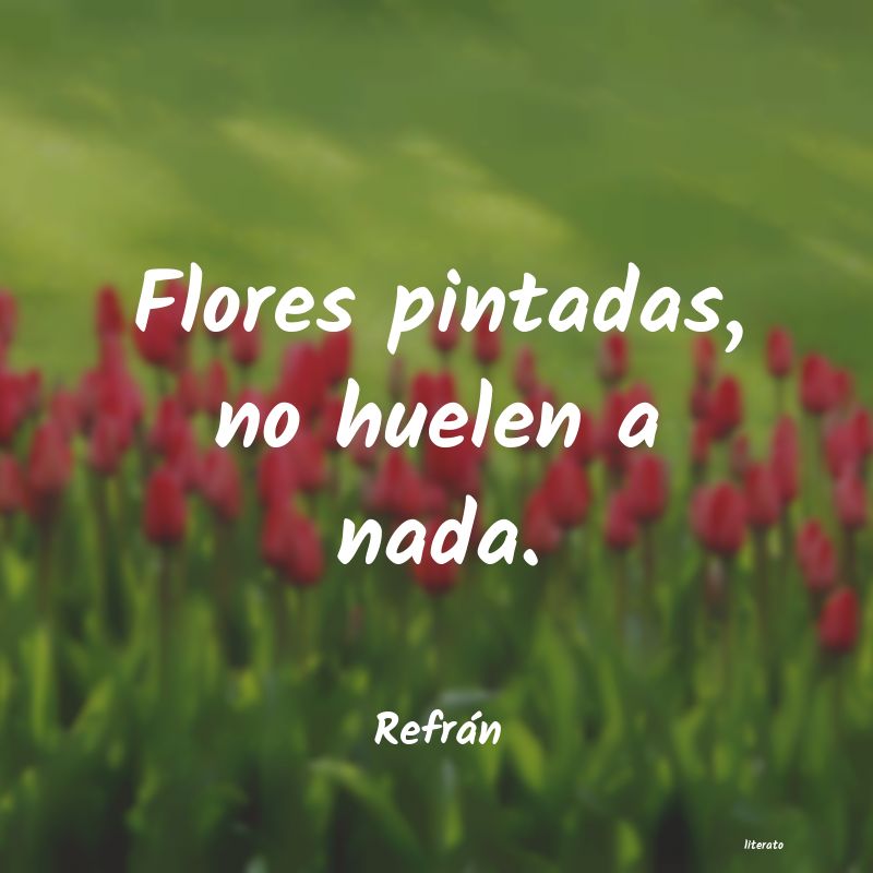 frases de Refrán
