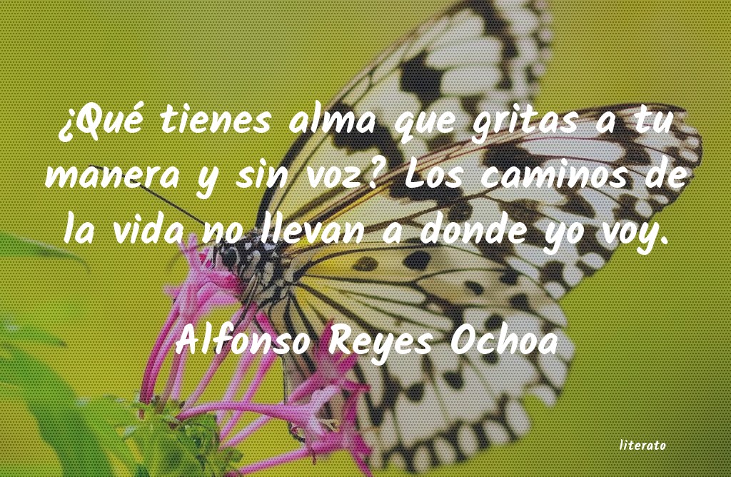Frases de Alfonso Reyes Ochoa