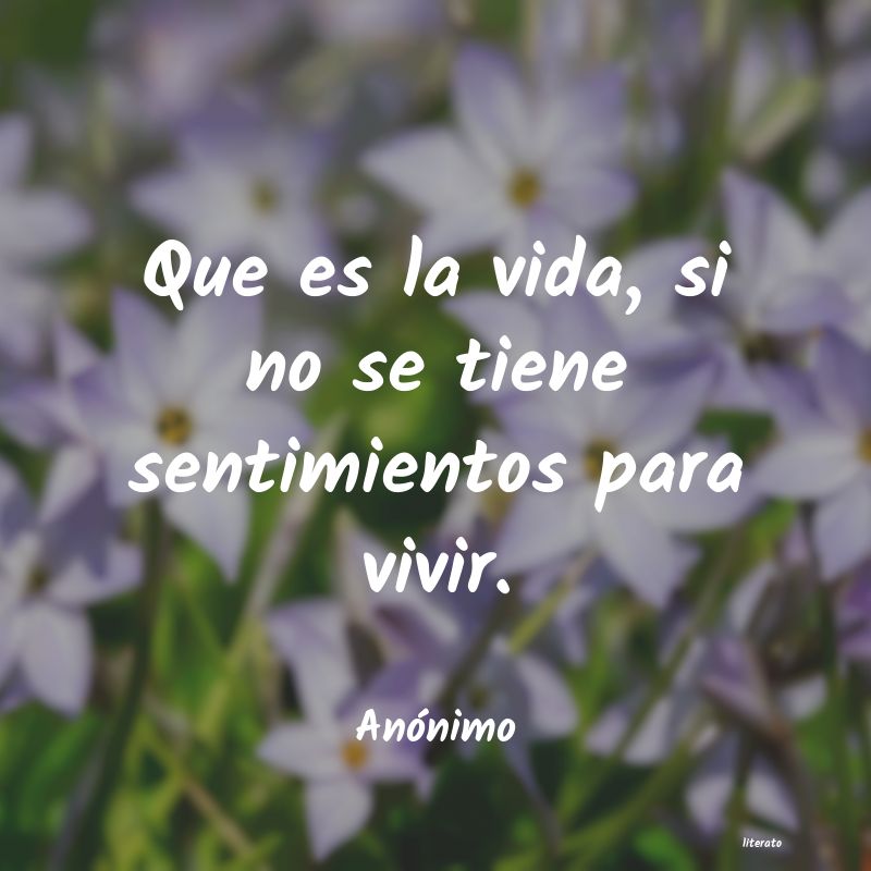 frases