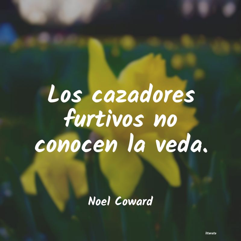 Frases de Noel Coward