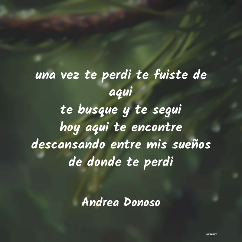 frases de Andrea Donoso