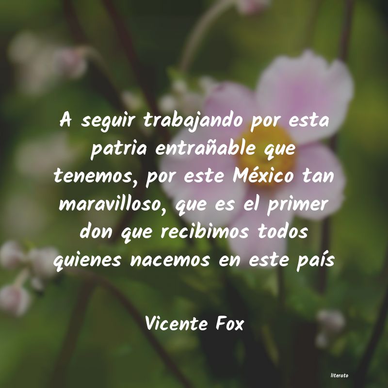 Frases de Vicente Fox