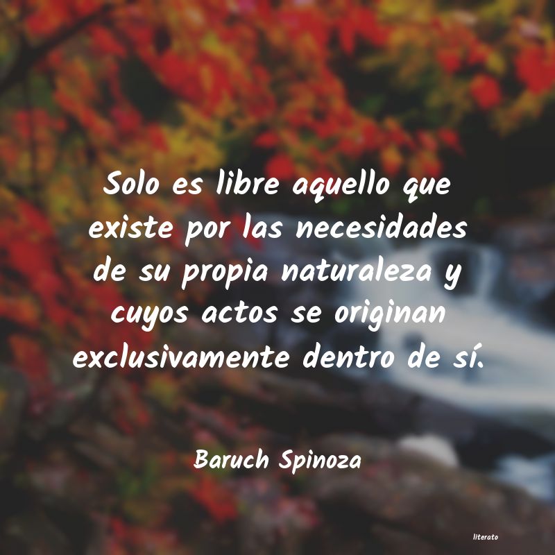 Frases de Baruch Spinoza