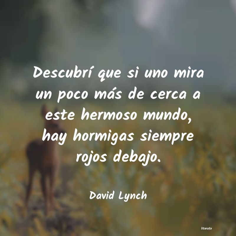 Frases de David Lynch