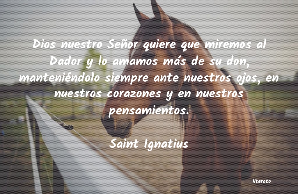 frases de Saint Ignatius