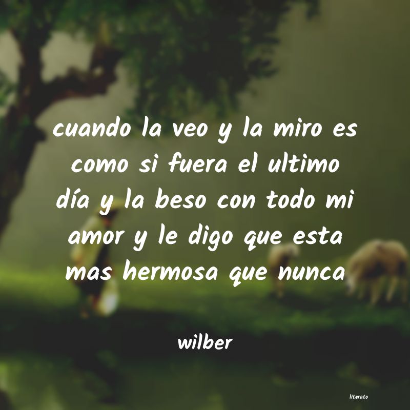 frases de wilber