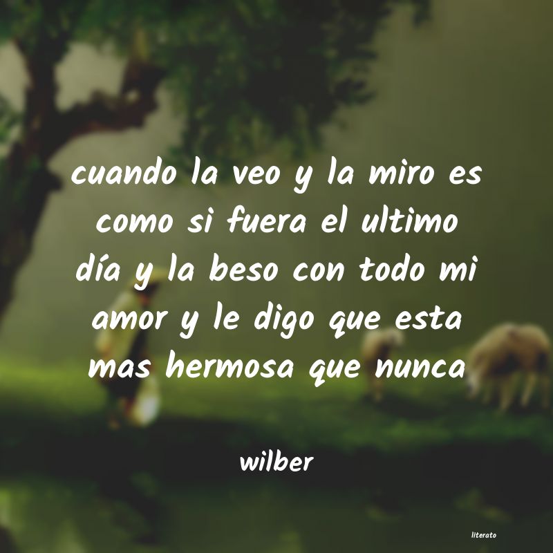 Frases de wilber