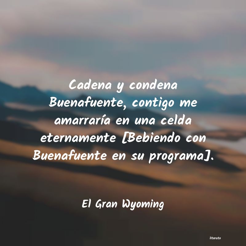 Frases de El Gran Wyoming